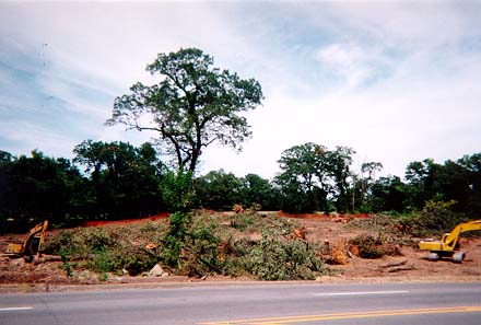 Clearing Site 2