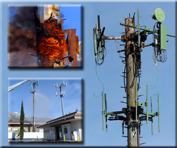 Monopole Fire BCI Communications