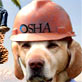 OSHA initiatives launched to lessen injuries and fatalities