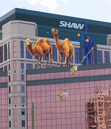 Shaw Communications