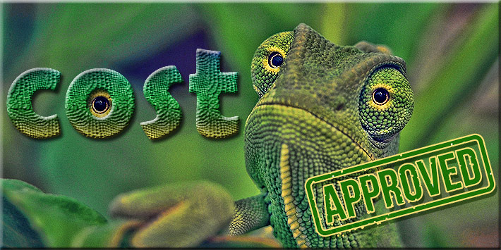 The Eighth Circuit Court said that the term “cost” is ambiguous, and in any other statute, as in accounting, it’s “a chameleon,” virtually a worthless term. However, they said that by the FCC setting an upper and lower bound “cost” it was acceptable.